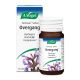 A. Vogel Famosan Salvia 60 tabletten