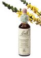 Bach Agrimony / Agrimonie  20 ml 01