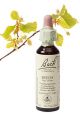 Bach Beech / Beuk 20 ml 03