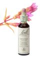 Bach Gentian / Gentiaan 20 ml 12