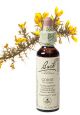 Bach Gorse / Gaseldoorn 20 ml 13
