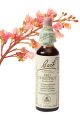 Bach Red Chestnut / Rose kastanje 20 ml 25