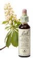 Bach White Chestnut / Paardenkastanje 20 ml 35