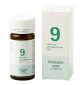 Schussler zout pfluger nr 9 Natrium Phosphoricum  D6 100 Tabletten Glutenvrij