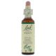 Bach Walnut / Walnoot 20 ml 33