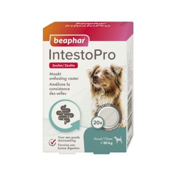 Beaphar Intestopro Hond> 20kg - Spijsverteringmiddel - Tot 20 Kg 20 Tabletten