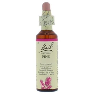 Bach Pine / Pijnboom 20 ml 24