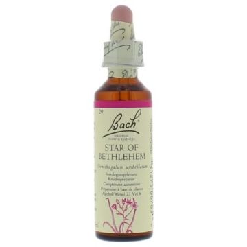 Bach Star of Bethlehem / Vogelmelk 20 ml 29