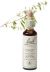 Bach Willow / Wilg 20 ml 38