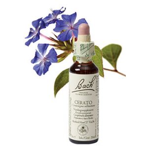 Bach Cerato / Loodkruid 20 ml 05