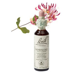 Bach Honeysuckle Kamperfoelie 20 ml 16