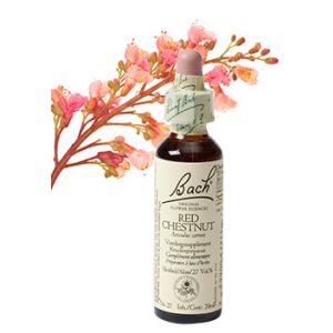 Bach Red Chestnut / Rose kastanje 20 ml 25
