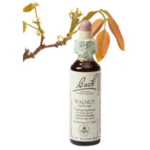 Bach Walnut / Walnoot 20 ml 33