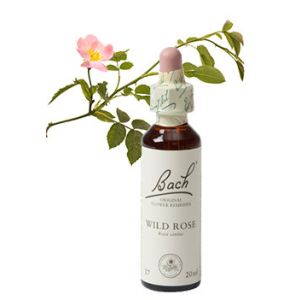 Bach Wild Rose / Hondsroos 20 ml 37