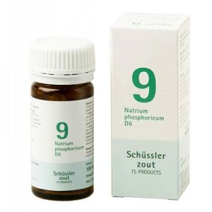 Schussler zout pfluger nr 9 Natrium Phosphoricum  D6 100 Tabletten Glutenvrij