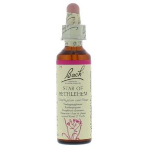 Bach Star of Bethlehem / Vogelmelk 20 ml 29